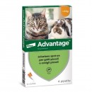 ADVANTAGE SPOT ON GATTI OLTRE 4kg